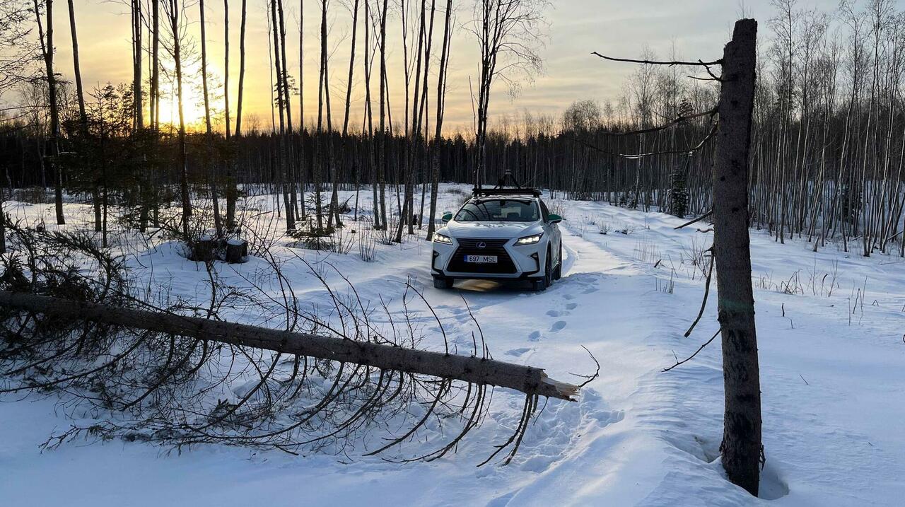 Lexus in snow with fallen tree